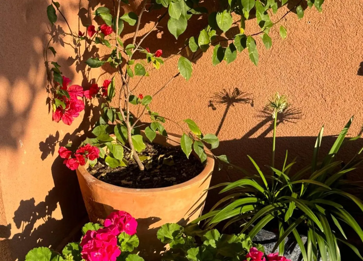 Wonderful House Near Barcelona Apartment Castelldefels